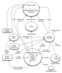 Money flows diagram